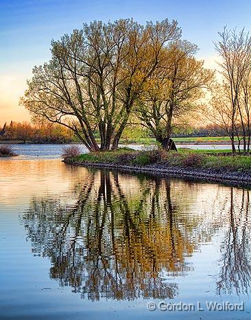 Trees At Sunrise_09690.jpg - Photographed along the Rideau Canal Waterway near Smiths Falls, Ontario, Canada.